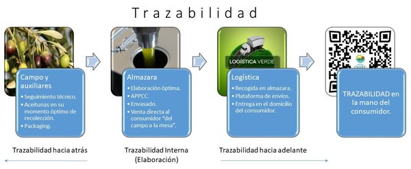 Trazabilidad en el aceite de oliva, código QR aceite de oliva